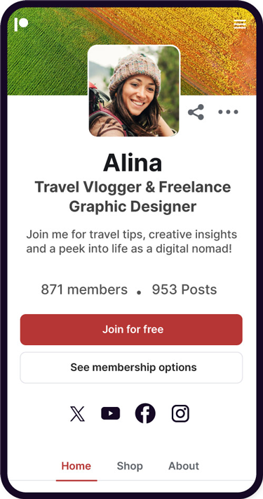Alina’s online profile, described on the following screens.